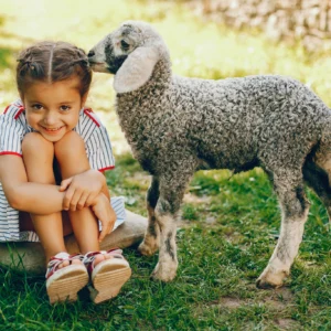 Smiling girl sitting beside a lamb